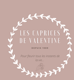 Logo Les caprices de Valentine
